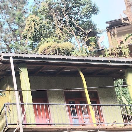 אלה Jungle View Cottage מראה חיצוני תמונה