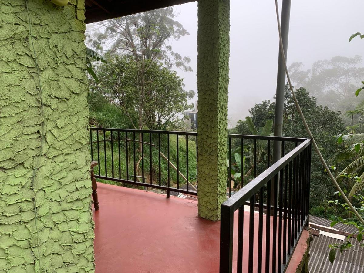אלה Jungle View Cottage מראה חיצוני תמונה