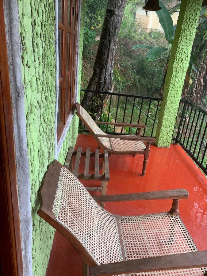 אלה Jungle View Cottage מראה חיצוני תמונה