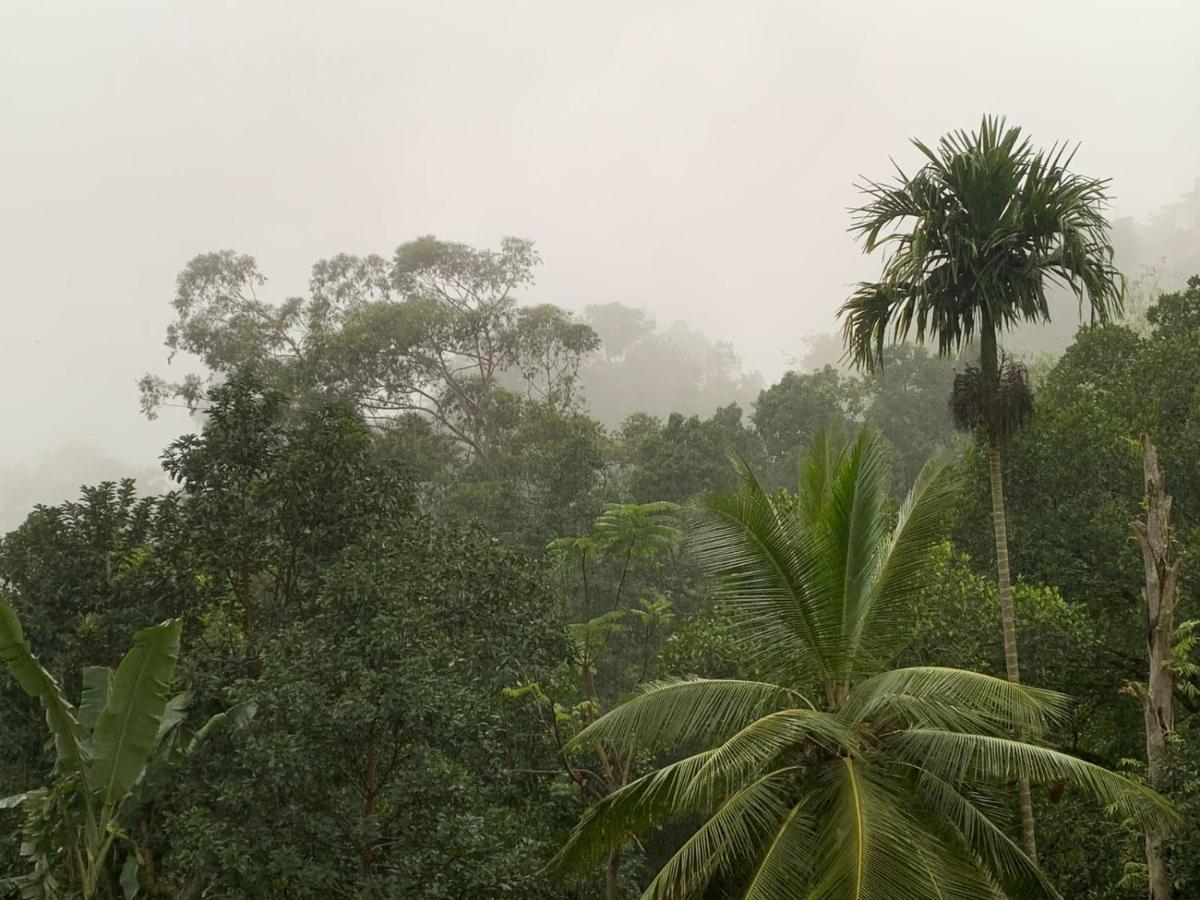 אלה Jungle View Cottage מראה חיצוני תמונה