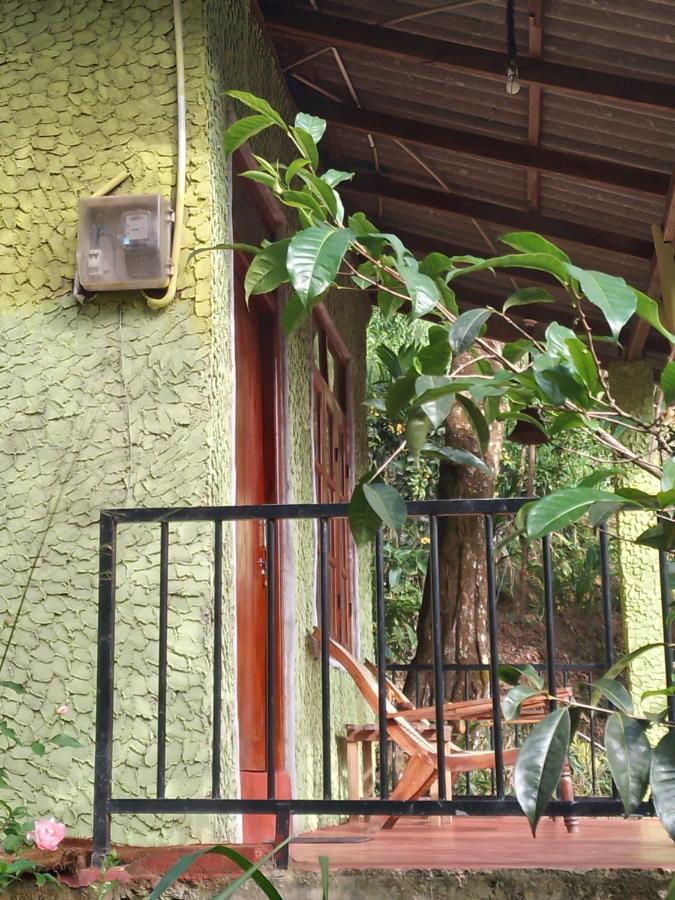 אלה Jungle View Cottage מראה חיצוני תמונה