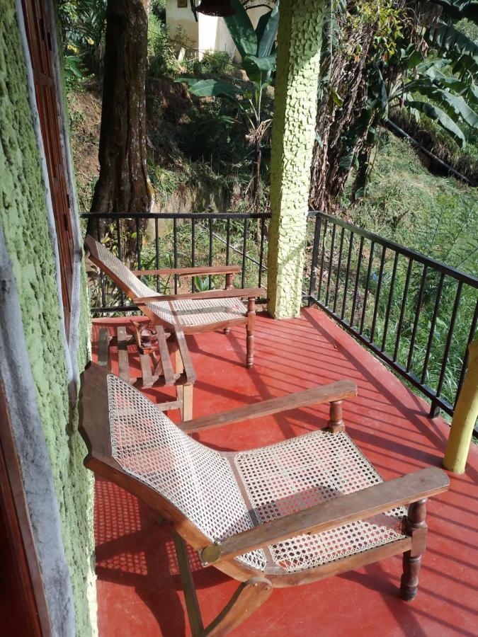 אלה Jungle View Cottage מראה חיצוני תמונה