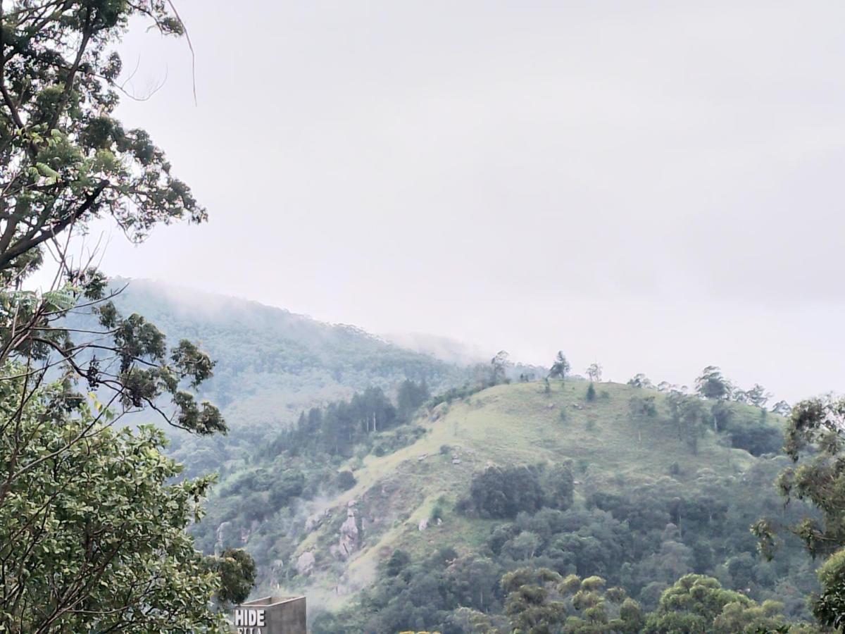 אלה Jungle View Cottage מראה חיצוני תמונה