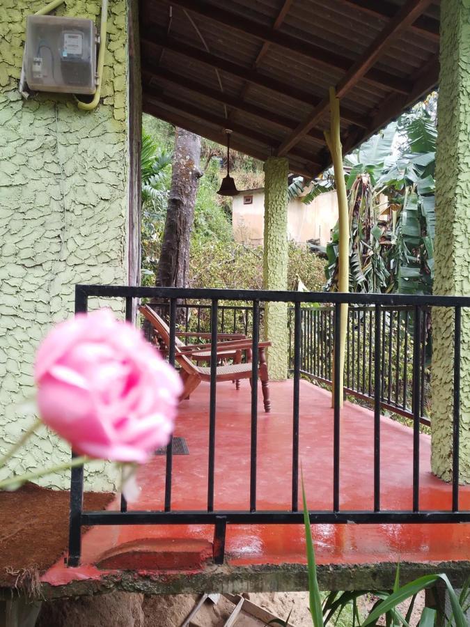 אלה Jungle View Cottage מראה חיצוני תמונה