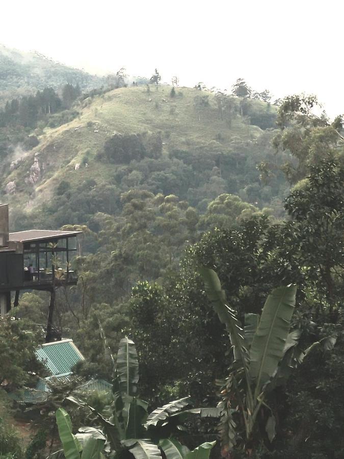 אלה Jungle View Cottage מראה חיצוני תמונה