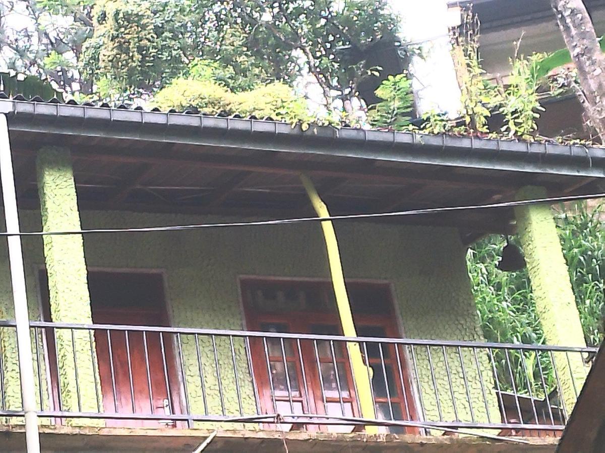 אלה Jungle View Cottage מראה חיצוני תמונה