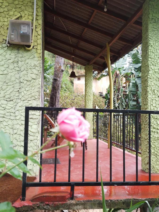 אלה Jungle View Cottage מראה חיצוני תמונה