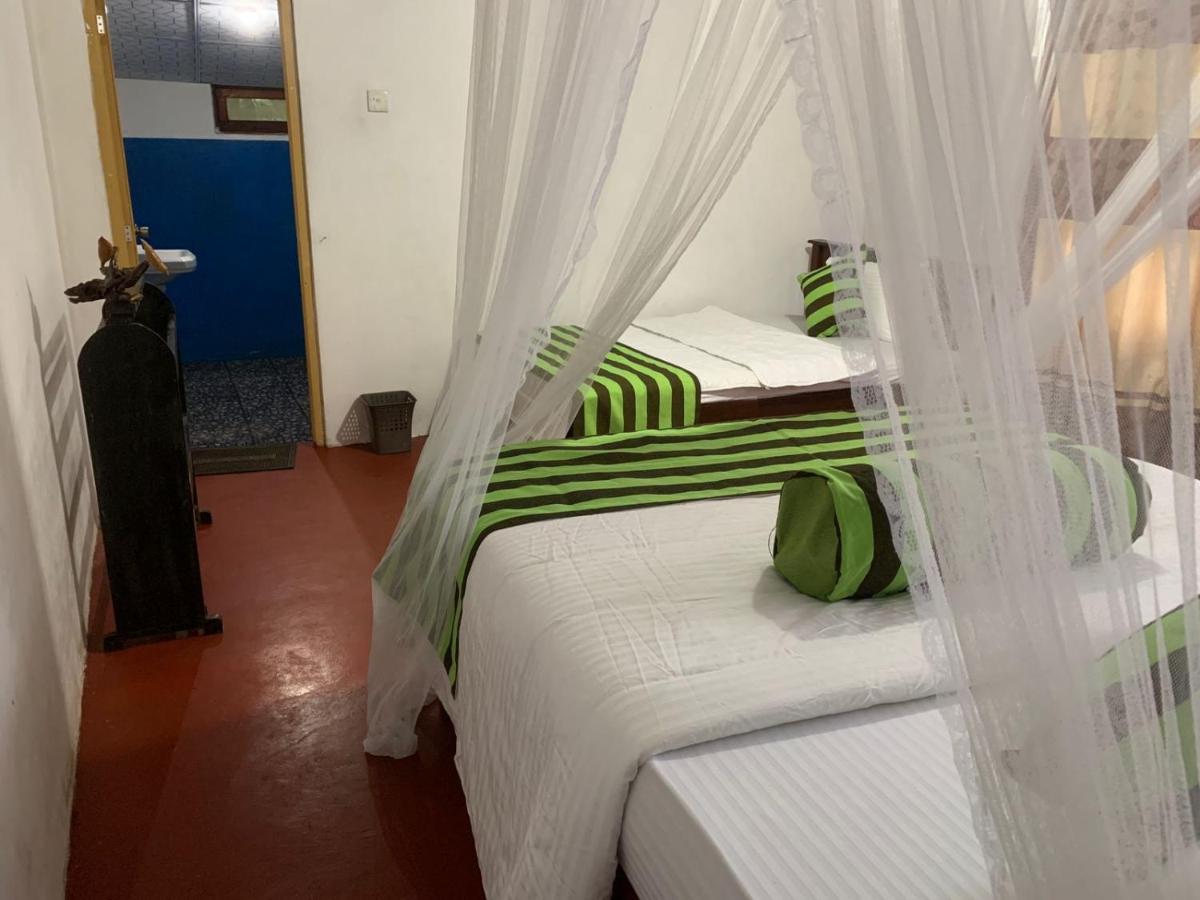 אלה Jungle View Cottage מראה חיצוני תמונה