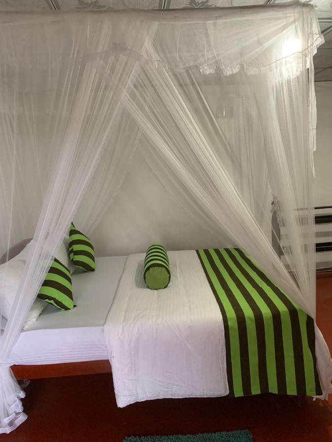 אלה Jungle View Cottage מראה חיצוני תמונה