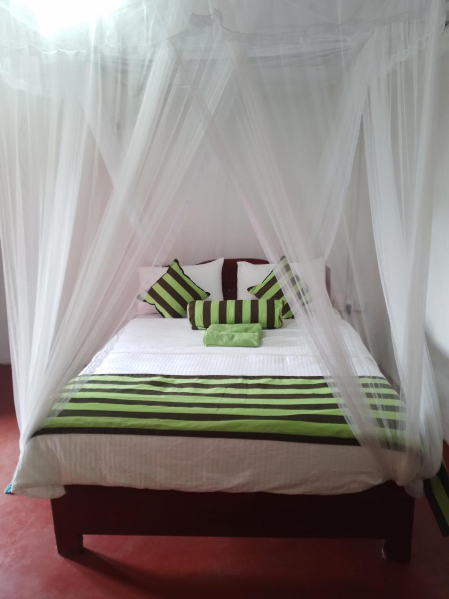 אלה Jungle View Cottage מראה חיצוני תמונה