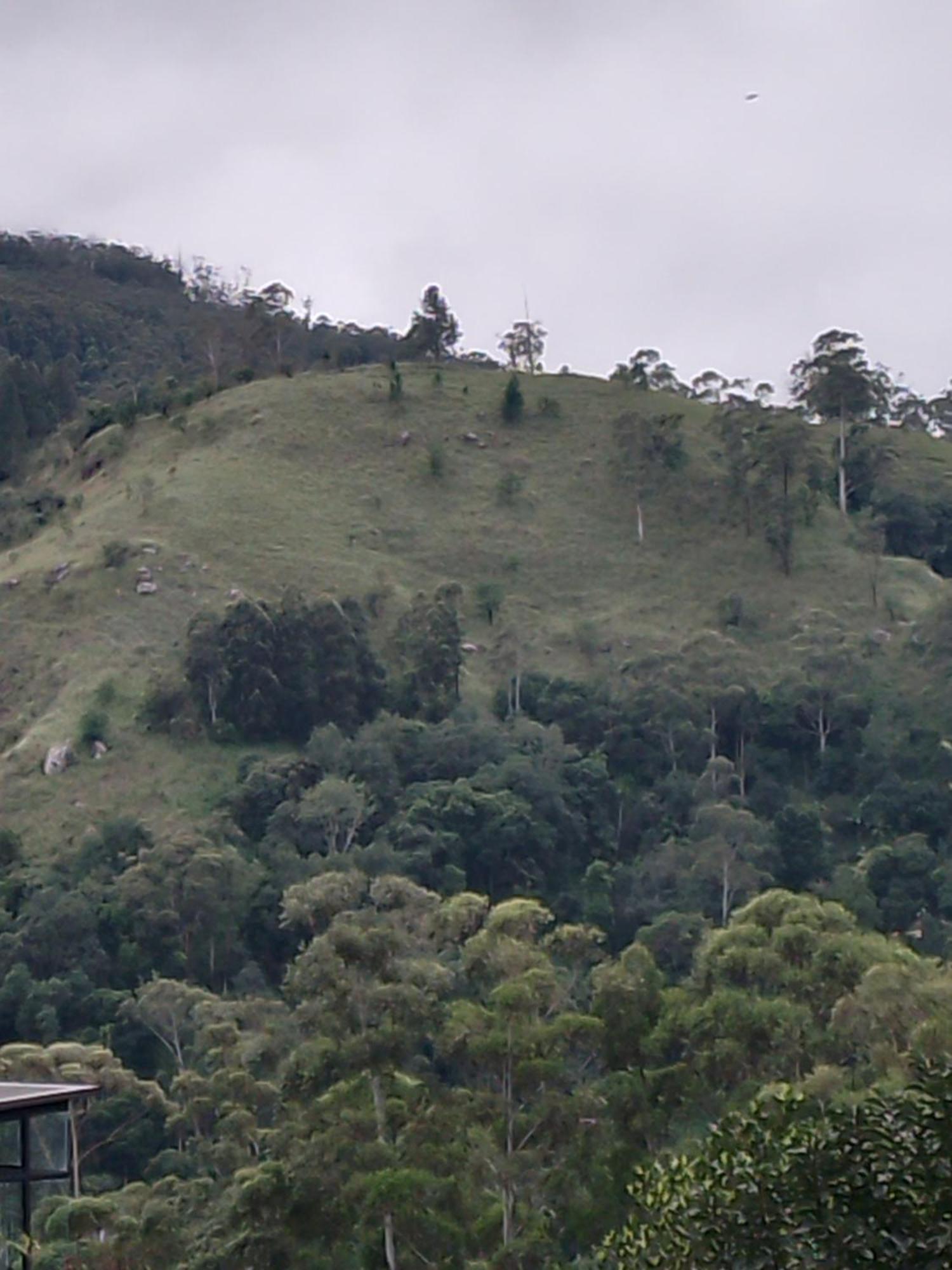 אלה Jungle View Cottage מראה חיצוני תמונה